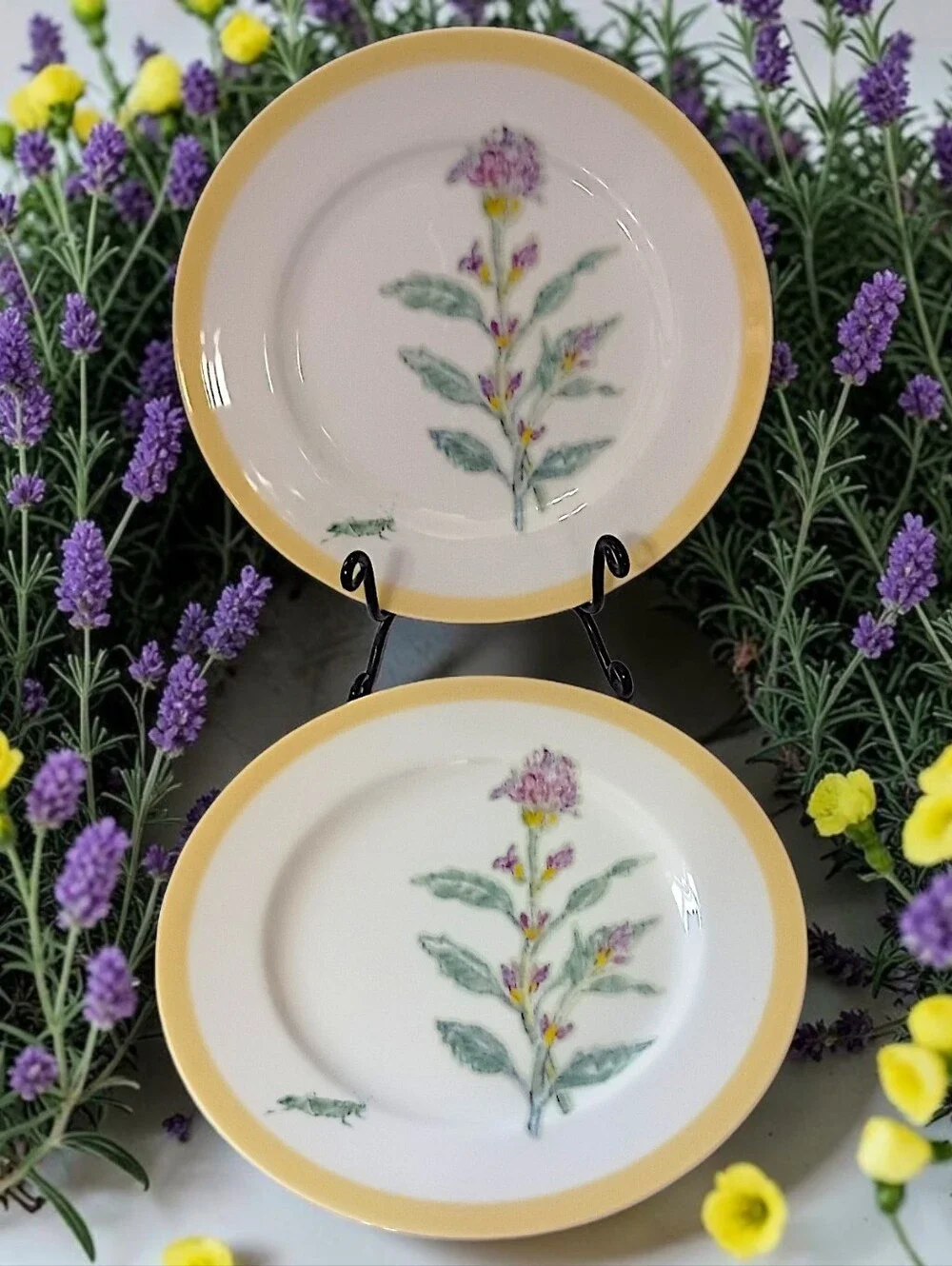 2 Williams Sonoma Flowering Herbs Salad Plates Purple Herb Flowers Grasshopper